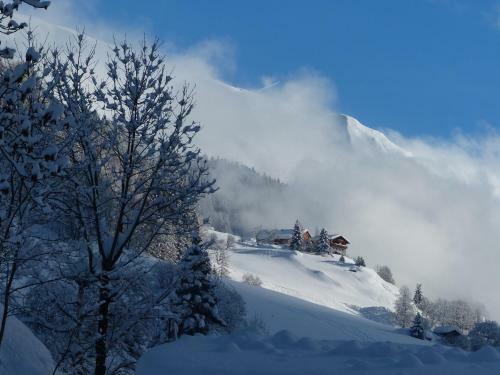 Hostal Hotel Gasthof Islitzer
