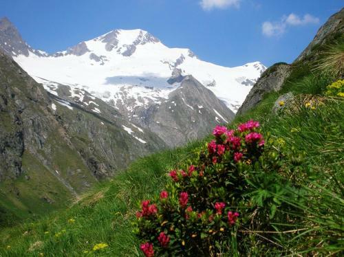 Hostal Hotel Gasthof Islitzer