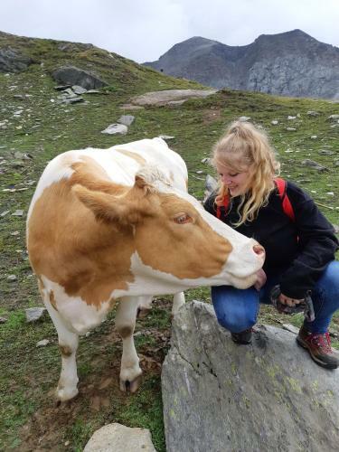 Agroturismo Hansenhof