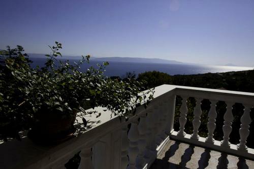 Apartments Villa Iva
