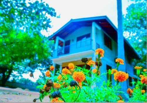 Ambawatta Holiday Homes