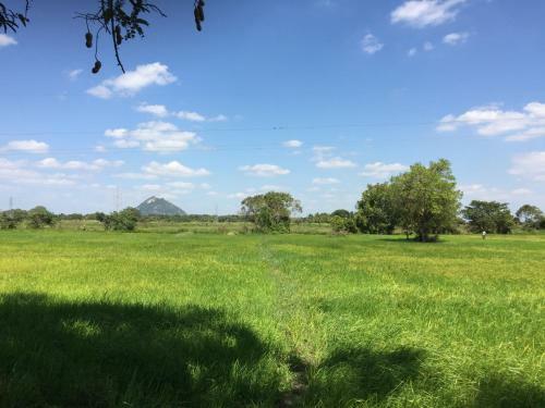 Ambawatta Holiday Homes