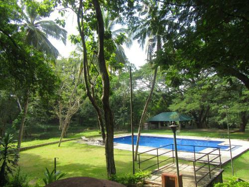 Hostal Dambulu Oya Family Park