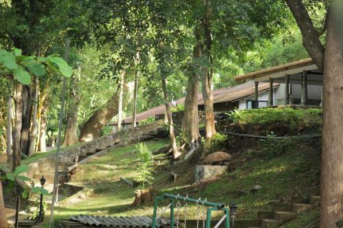 Hostal Dambulu Oya Family Park