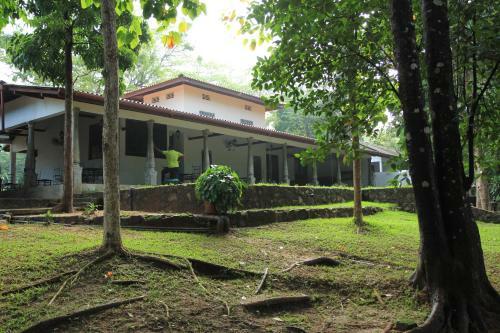 Hostal Dambulu Oya Family Park