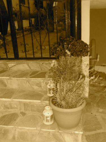 Hostal Dominici