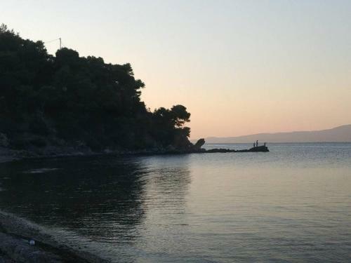 Hostal Dominici