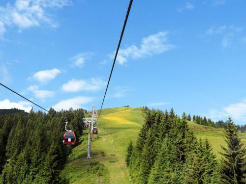 Holiday Home Huberhof (wil105)