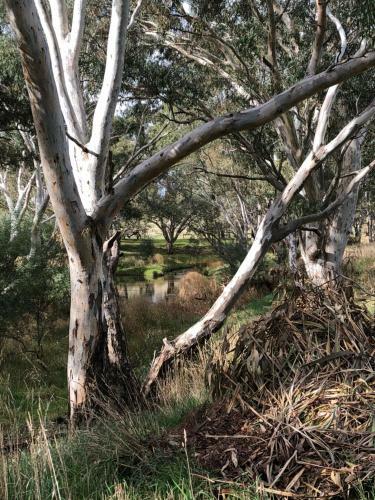 Hostal On The Creek