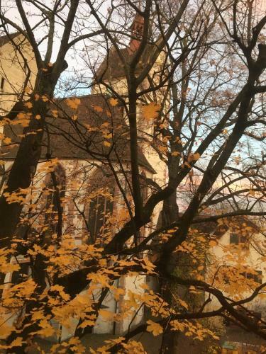 Hotel Brasserie Au Violon