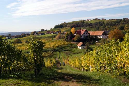 Weinbau Winzerzimmer Veronika Und Alfred Kl�ckl