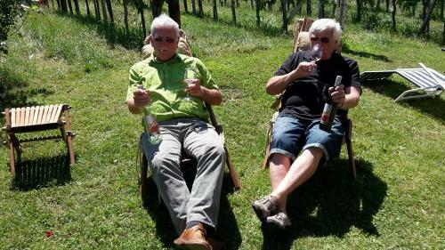 Weinbau Winzerzimmer Veronika Und Alfred Kl�ckl