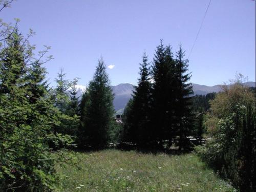 Voa Crestas 7 (715 He)