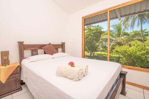 Casa Surf