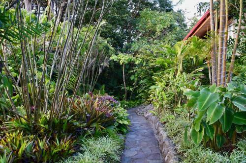 Hotel Arco Iris Lodge