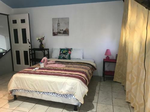 Hostal Hotel Cafe Del Mar, En Valle Pura Vida