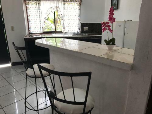 Hostal Hotel Cafe Del Mar, En Valle Pura Vida