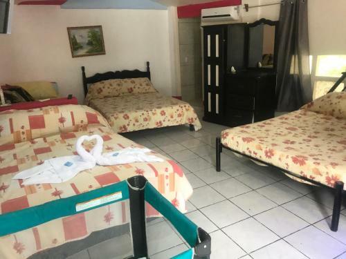 Hostal Hotel Cafe Del Mar, En Valle Pura Vida
