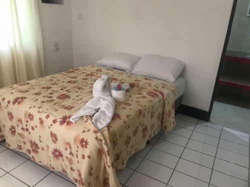 Hostal Hotel Cafe Del Mar, En Valle Pura Vida