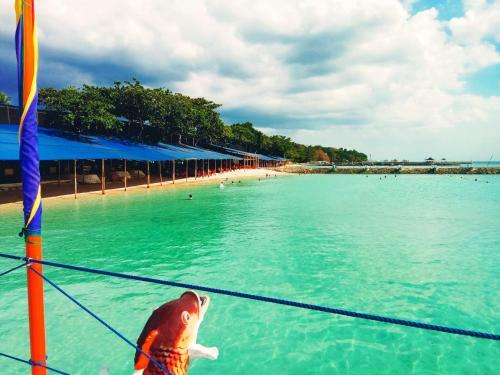 Hotel Paradise Island Park & Beach Resort