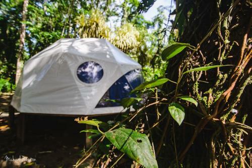 Bed & Breakfast Faith Glamping Dome Costa Rica