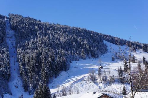 Apartamento Haus Ortner