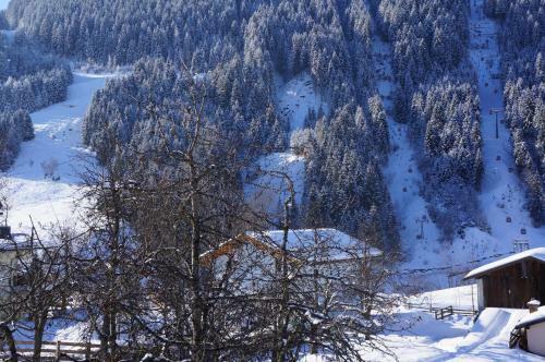 Apartamento Haus Ortner