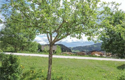 Apartment Moard�rfl IV