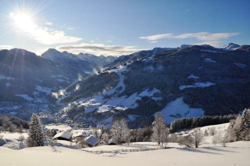 Hostal G�stehaus Schattauer