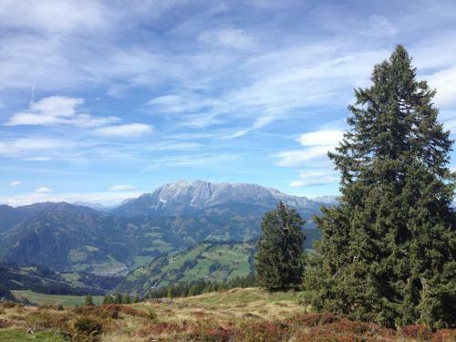Apartamento Appartement Schuller