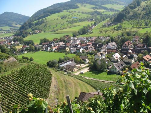 Apartamento Dischhansenhof