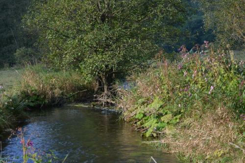 Bed & Breakfast Ferienhaus Schmelzm�hle