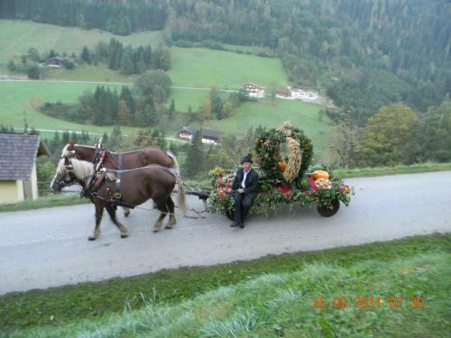 Agroturismo Griesbauer / Familie Gehwolf