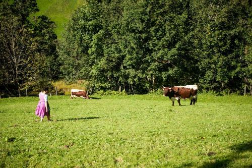Agroturismo Griesbauer / Familie Gehwolf