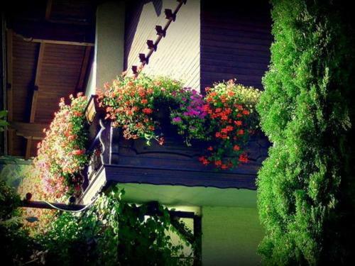 Apartamento Appartement Ria