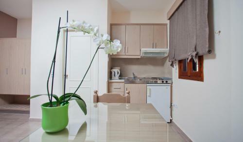 Aphrodite Luxury Studios & Apartments