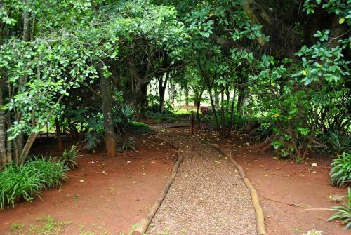 Mount Azimbo Lodge