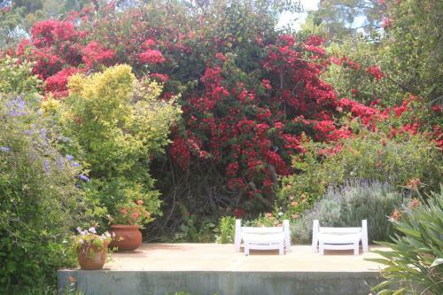 Bed & Breakfast Karoo Lodge