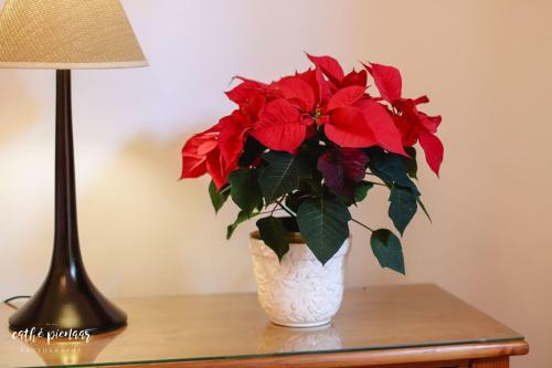 Hostal A Tuscan Villa Guest House