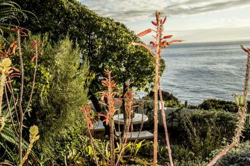 Rocklands Seaside Bed And Breakfast