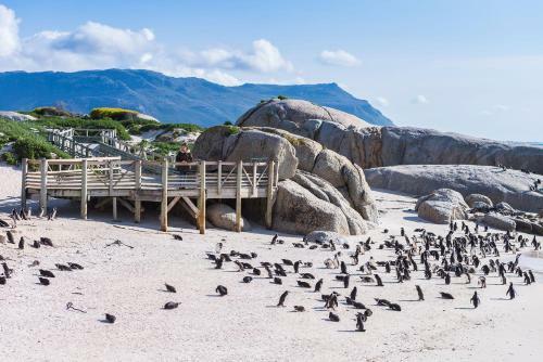 Simon's Town Quayside Hotel