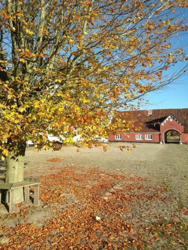 Holtegaard Bed & Breakfast