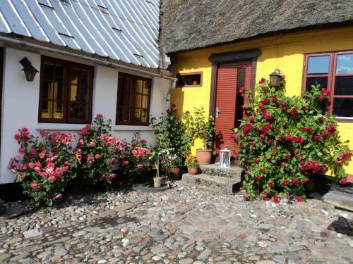 Ouregaarden B&B