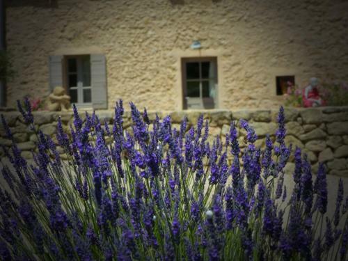Bed & Breakfast Mas De Longuefeuille