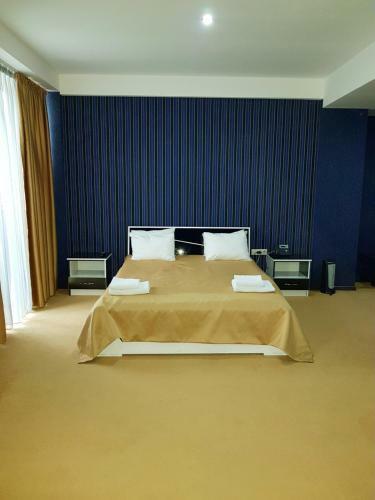 Hotel Grand Vejini