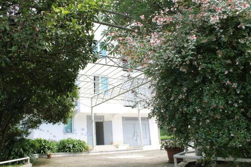 Hostal Guest House Niako