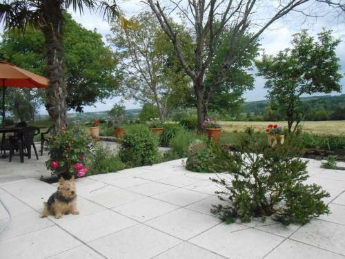 Upscale Mansion In Neuffons With Swimming Pool And Garden