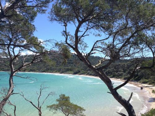 Beautiful Villa With Private Swimming Pool In Pignans
