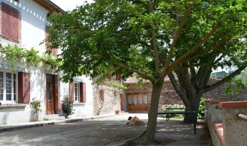 Bed & Breakfast Maison H�tes Pacelian