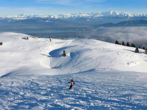 Hotel Ibis Budget Geneve Saint Genis Pouilly